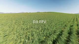 DJI FPV? 4K