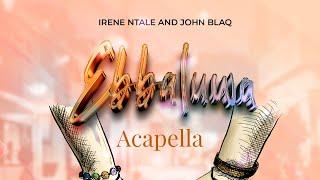 Ebbaluwa - Irene NTALE Ft John Blaq ( Acapella Vocals )