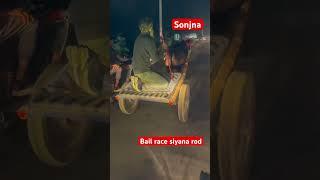 #siyan to garh bail race#jhottarace #gangaji #funny #jhotalover #newjhotarace #jhotaracenew2021