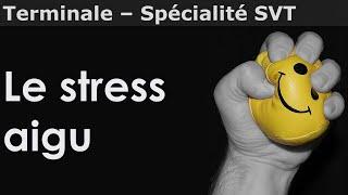 Le stress aigu : l'adaptabilité de l'organisme - SVT - Terminale