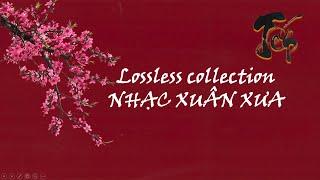 Nhạc Xuân xưa lossless