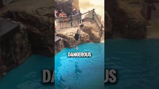 The Pool You Shouldn’t Jump Into ️ (@1.80x_)