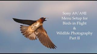 Sony A9/A9II Menu Setup for Birds in Flight & Wildlife Photography - Part 2 of 5