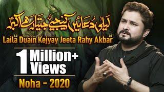 Nohay 2020 | Laila Duain Kijiye Jeeta Rahay Akbar | Syed Raza Abbas Zaidi Noha 2020 | New Noha 2020