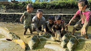 How to catch giant pond fish and cook fish with your children