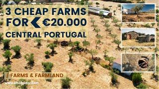  3 Cheap Farms for Sale Under 20000€ | Central Portugal