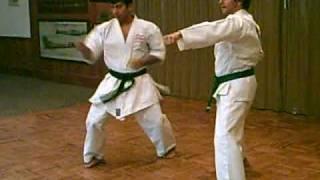 Shotokan Hip Rotation