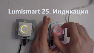 LumiSmart 25. Варианты индикации