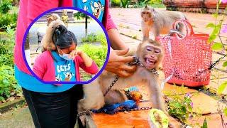 Poor...Sad !Hot Now Animal Monkey Release Poor Abandon Baby Monkey In Temple, Poor Monkey Bally&Dou