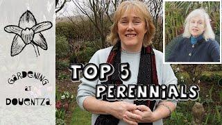 Top 5 Perennials || Collab with @TheMiddlesizedGarden