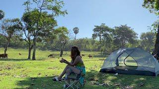 SOLO camping on a green BEACH IN BALI- tropical  beach - ASMR ocean waves sound [Bali episode 7]