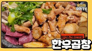 일산애견동반 맛집투어!! 한우곱창 1등집! 꼭 한번 가보세요~