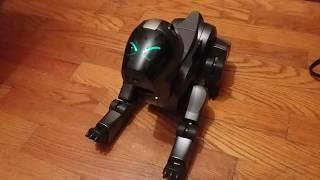 Shadow (Trooper) The ERS-210 (From Aibo7m3)