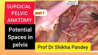 Surgical pelvic anatomy ,gynecology, Spaces in pelvis, Latzko's, Okabayashi@saisamarthgyneclasses