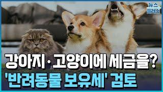 "개·고양이 키우면 세금 내라"…'반려동물 보유세' 검토/[+PICK]/한국경제TV뉴스