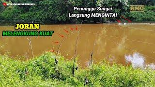 MENAKUTKAN..!!Joran Melengkung Kuat Didepan Buaya Besar