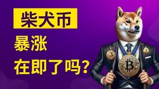 shib币 柴犬币 比特币 BTC 区块链 加密货币 最新行情走势分析，柴犬币进入反弹模式，暴涨在即？比特币强支撑100K，会跌破吗？