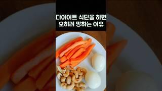 다이어트 식단을 하면 오히려 망하는 이유