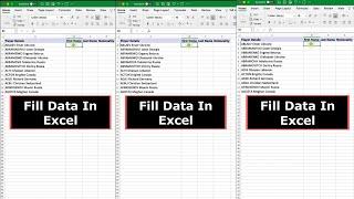 Fill Data into Excel Using Shortcuts: Separate and auto populate excel data