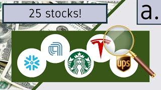 my entire stock portfolio revealed! (25 stocks to buy in 2024)