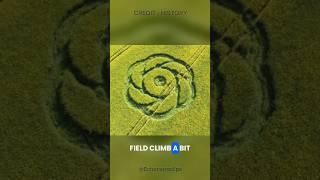 Crop Circle: Not Aliens After All? #explore #foryou #fyp #viralvideo #viralshorts #viralshort