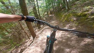 Mountain biking Marquette - Carp Eh Diem trail