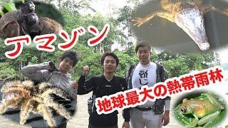 【アマゾン1】命がけ！！野生のワニ・タランチュラたちとマジで遭遇した…。