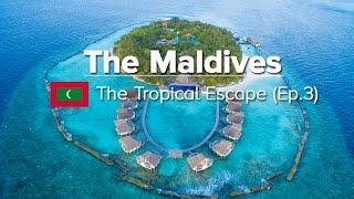 Ellaidhoo & Dhonveli - Things to do in the Maldives (Tropical Escape #3)