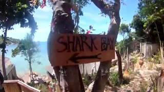 Shark Bay - Koh Tao