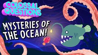 Secrets of the Deep! The Ocean's Greatest Mysteries! | COLOSSAL QUESTIONS