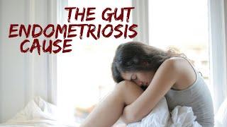 Fix the GUT to Fix Endometriosis. Part 1 Endometriosis Solutions