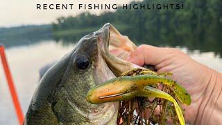 Recent Fishing Highlights!