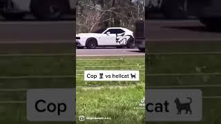 Look what a hellcat did to a police officer 