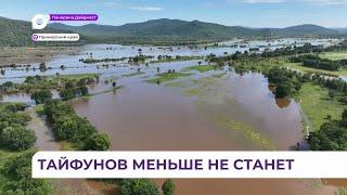 Учёные выяснили причину постоянных тайфунов в Приморье