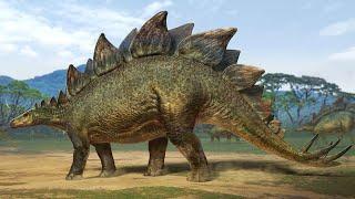 Stegosaurus | Massive Iconic Dinosaur | plates and Thagomizer