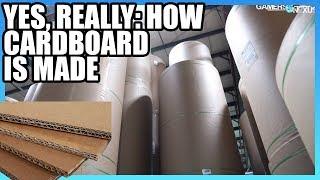 How Cardboard is Made | Factory Tour