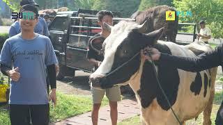 PT PLN IP UBP Semarang salurkan bantuan 1000 bungkus daging qurban pada hari raya idul adha 1445 H