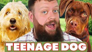 Mistakes Training Dogs In 'Teenage Phase'