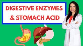 The Power of Digestive Enzymes & Stomach Acid: Fix Bloating, Gas, and Reflux!