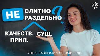 НЕ с именем существительным и качественным прилагательным. Алгоритм. Русский язык