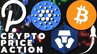 HUGE CRYPTO NEWS!!! Polkadot DOT, Cardano ADA, Crypto.com CRO, Bittorrent BTT