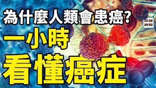 一小時看懂癌症：為什麼會有癌症，為什麼有些大型動物不會患癌？什麼是癌症演化？癌細胞曾經救治了幾億生命！如何利用癌變？｜思維實驗室·合輯