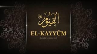 037 El Kayyum