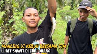 Mancing Di Kebun Bersama Tim! lihat Sawit Di Curi Orang!