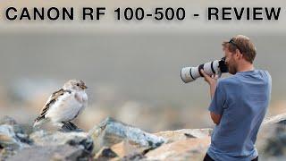 The perfect telephoto zoom lens for bird photography? Canon RF 100-500 f/4.5-7.1 L IS USM Review