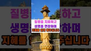 질병치료 생명연장 소원성취 2025 을사년 기도명당 기장 은진사 사찰여행 부산 당일치기 국내여행 코스 약사여래불 반야심경 천수경 금강경 관세음보살 나무아미타불 목탁소리 광명진언