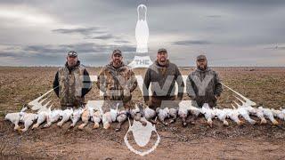 Spring Migration Snows! Goose Hunting in Oregon!