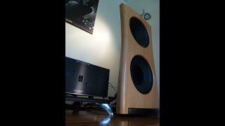 DIY Open Baffle Speaker Build