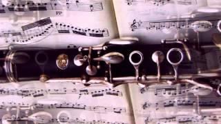 Ramaz Kemularia.  Sonata for Clarinet and Piano.  Sergey Nizkodub - Clarinet