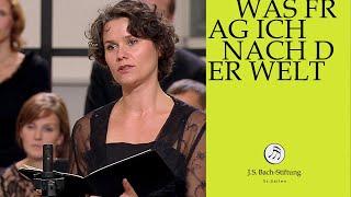 J.S. Bach - Cantata BWV 94 "Was frag ich nach der Welt" (J.S. Bach Foundation)